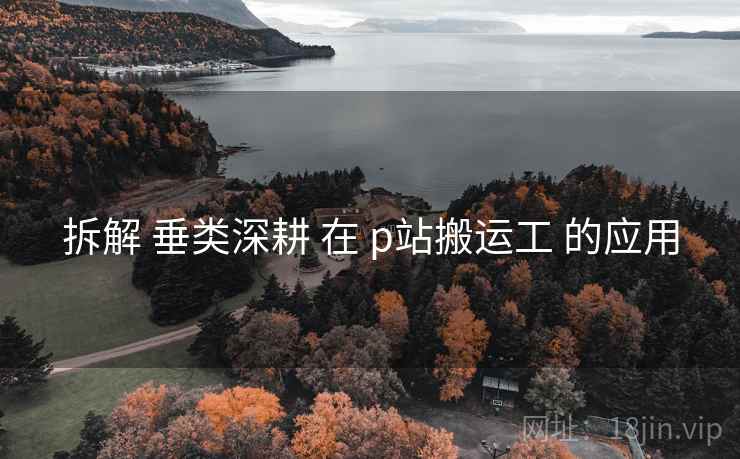 拆解 垂类深耕 在 p站搬运工 的应用