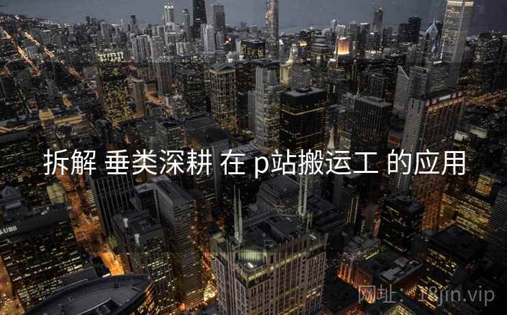拆解 垂类深耕 在 p站搬运工 的应用
