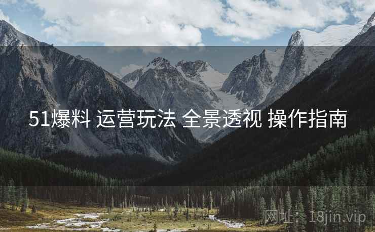 51爆料 运营玩法 全景透视 操作指南