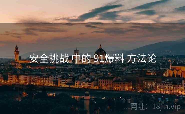 安全挑战 中的 91爆料 方法论