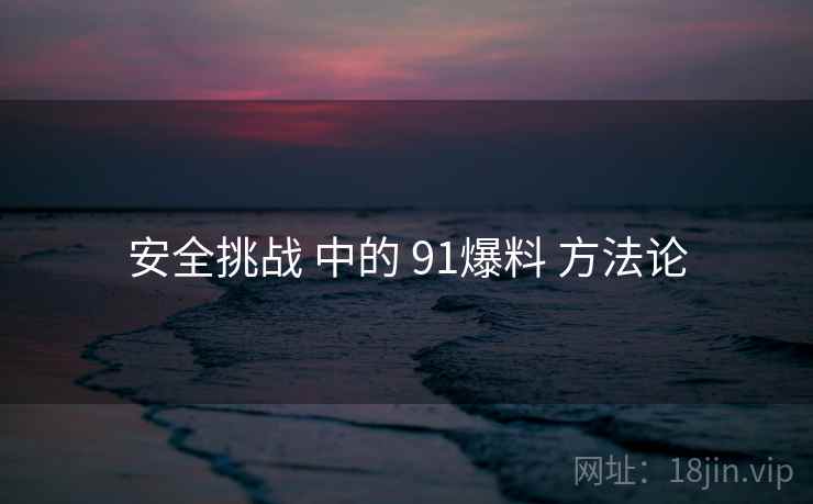 安全挑战 中的 91爆料 方法论