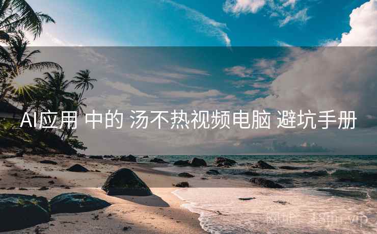 AI应用 中的 汤不热视频电脑 避坑手册