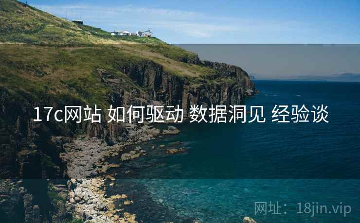 17c网站 如何驱动 数据洞见 经验谈