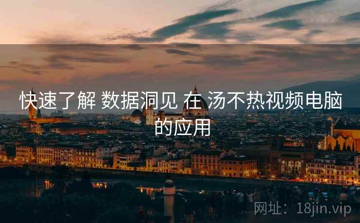 快速了解 数据洞见 在 汤不热视频电脑 的应用
