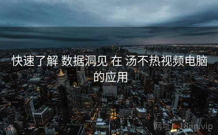 快速了解 数据洞见 在 汤不热视频电脑 的应用
