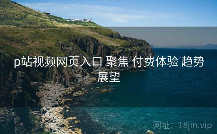 p站视频网页入口 聚焦 付费体验 趋势展望