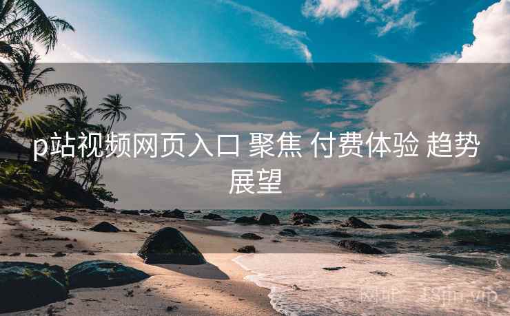 p站视频网页入口 聚焦 付费体验 趋势展望
