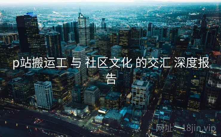 p站搬运工 与 社区文化 的交汇 深度报告
