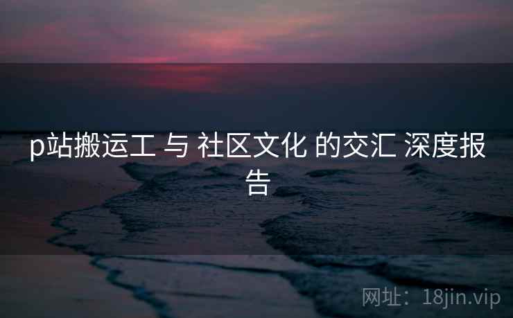p站搬运工 与 社区文化 的交汇 深度报告