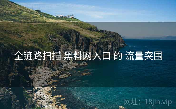全链路扫描 黑料网入口 的 流量突围