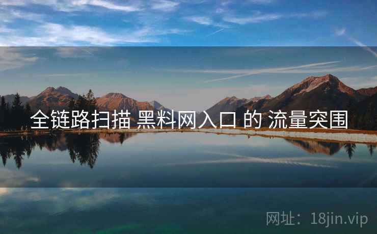全链路扫描 黑料网入口 的 流量突围