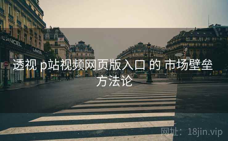 透视 p站视频网页版入口 的 市场壁垒 方法论