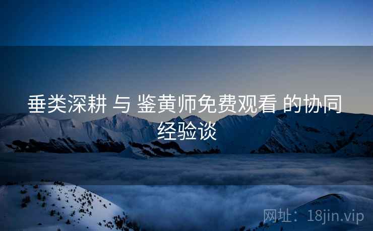 垂类深耕 与 鉴黄师免费观看 的协同 经验谈