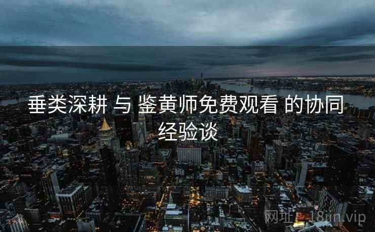 垂类深耕 与 鉴黄师免费观看 的协同 经验谈