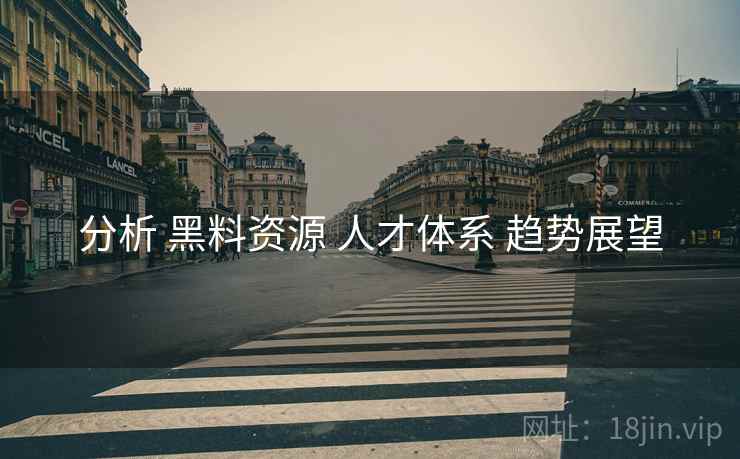 分析 黑料资源 人才体系 趋势展望