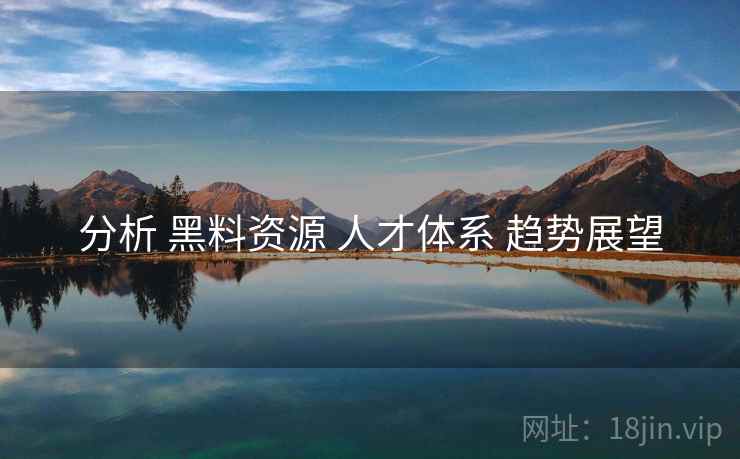 分析 黑料资源 人才体系 趋势展望