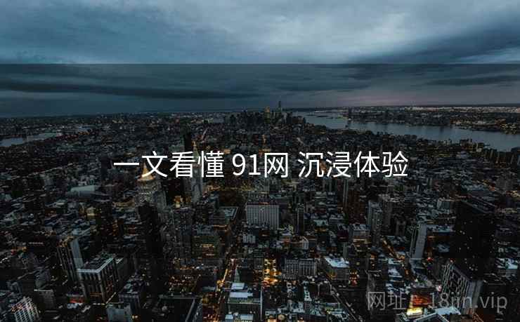 一文看懂 91网 沉浸体验