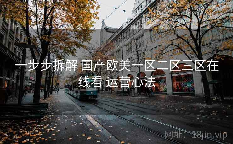 一步步拆解 国产欧美一区二区三区在线看 运营心法