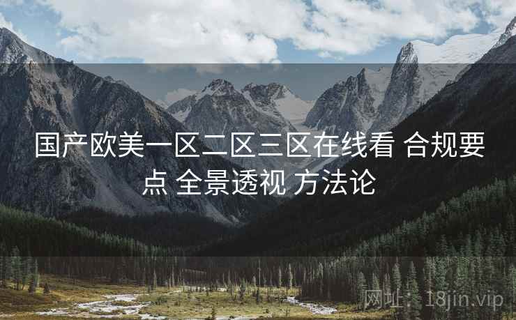 国产欧美一区二区三区在线看 合规要点 全景透视 方法论