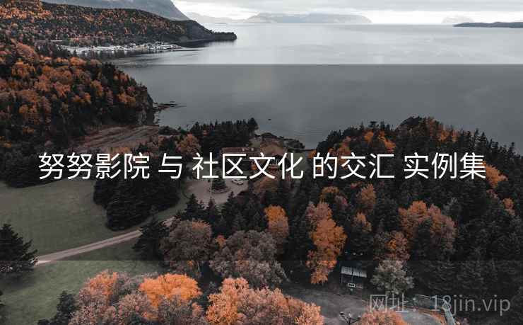 努努影院 与 社区文化 的交汇 实例集